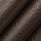 Malta Walnut - Folio Fabrics