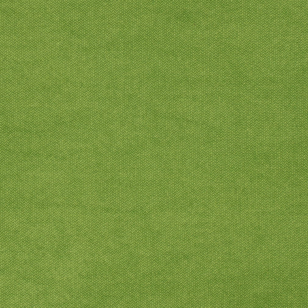S1024 Lime - Folio Fabrics