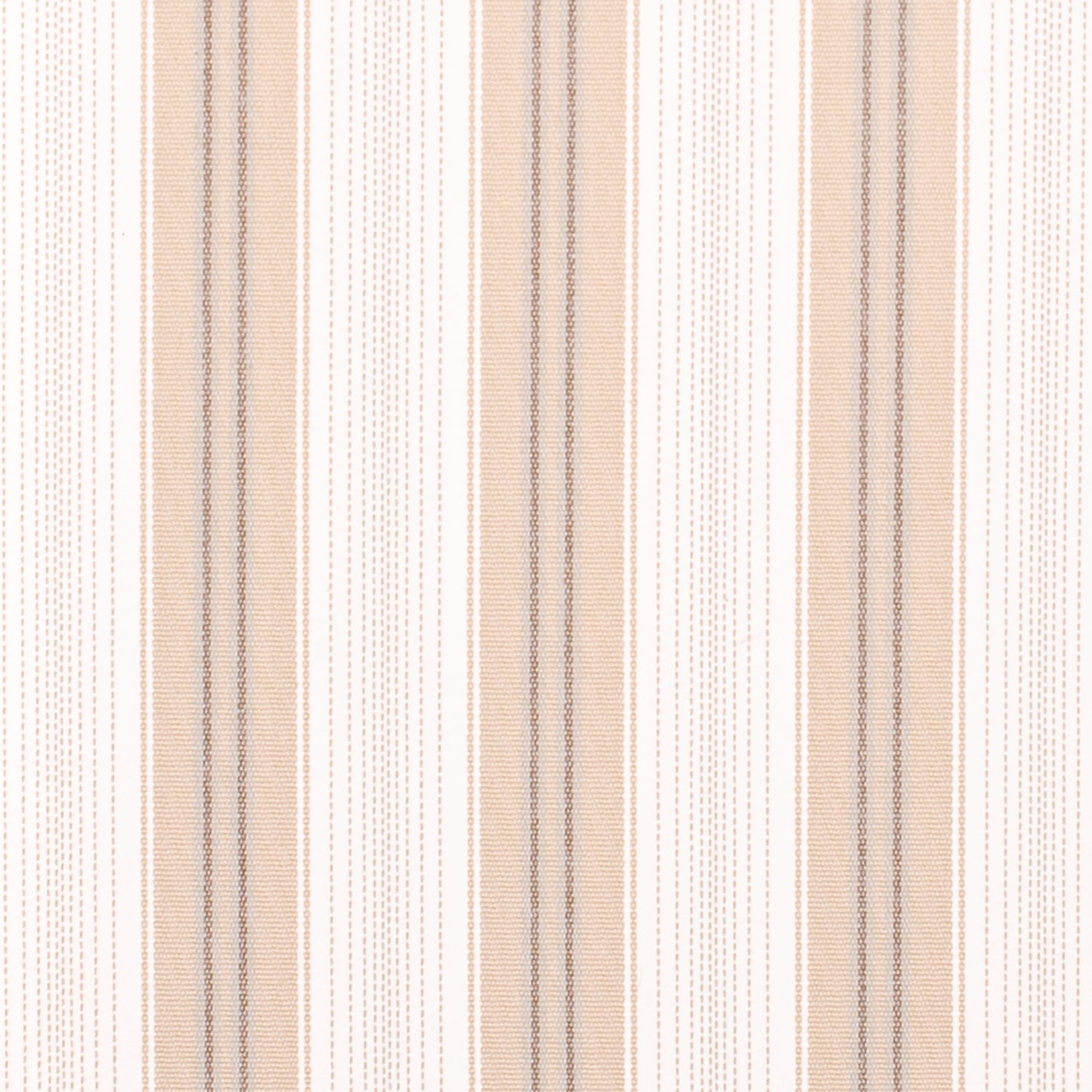 Solomon Beige