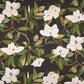 Thayer Blackstone - Folio Fabrics