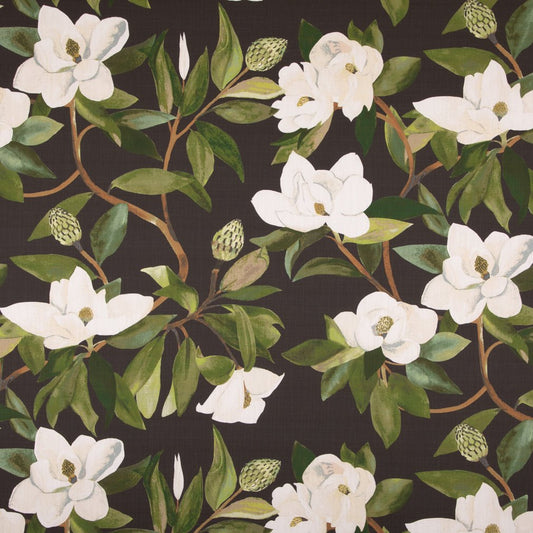 Thayer Blackstone - Folio Fabrics