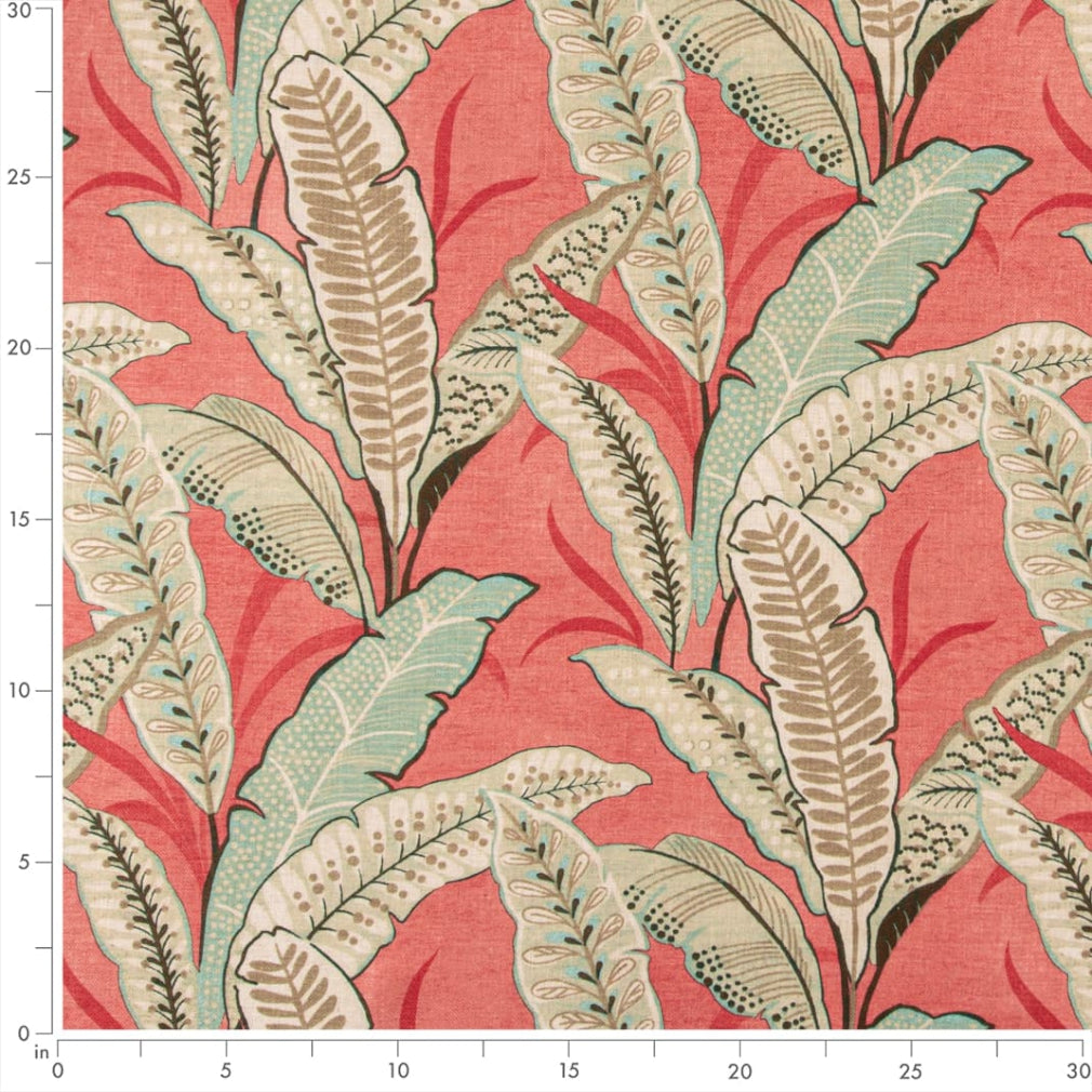 Berkley Coral Ruler Image