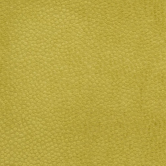 Boden Citron Fabric