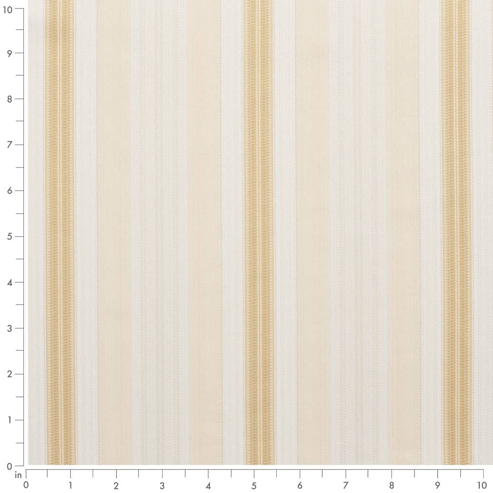 Dahlia Antique Ruler Image