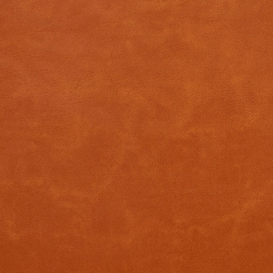 Drew Apricot Fabric