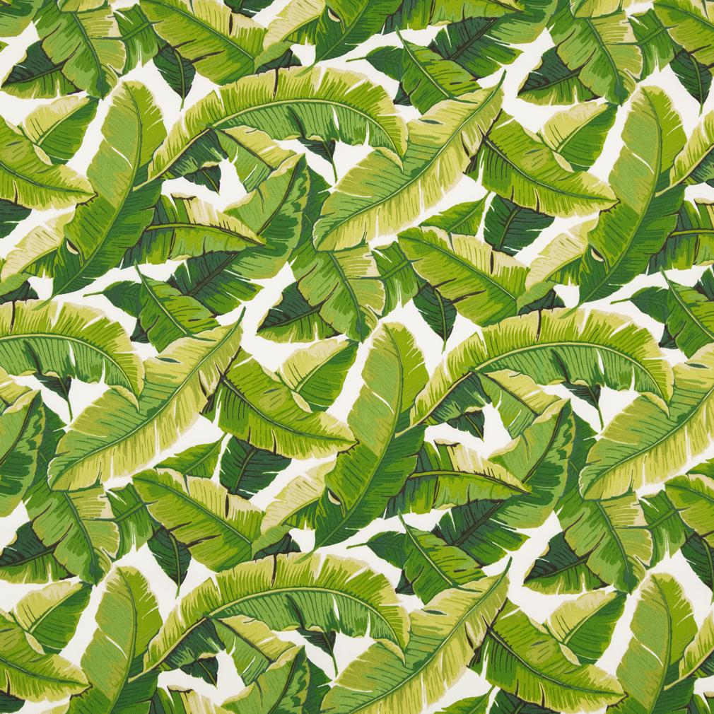 Irene Palm - Folio Fabrics