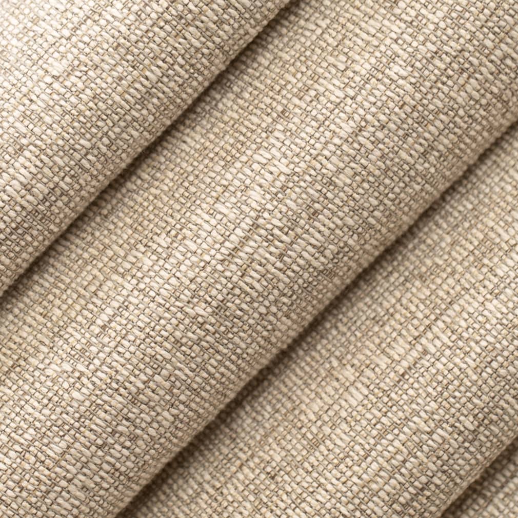 Isla Birch Closeup Texture