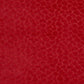 Jenkins Watermelon - Folio Fabrics