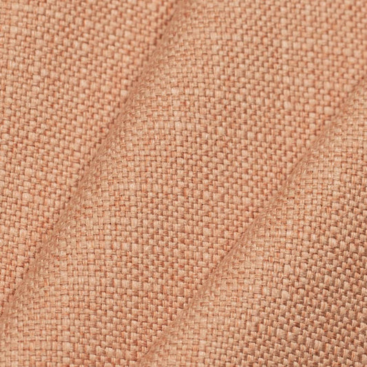 Lambert Salmon Closeup Texture