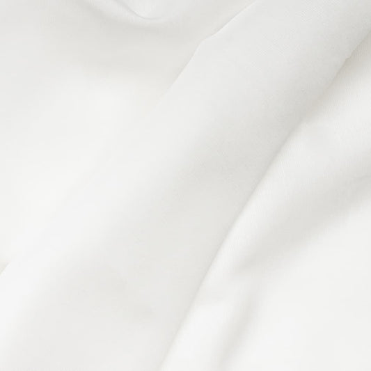 Lance Snow Closeup Texture