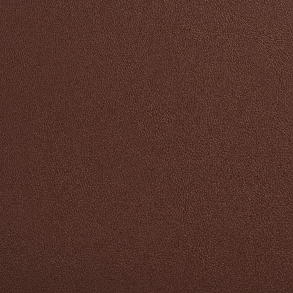 Louie Rawhide - Folio Fabrics
