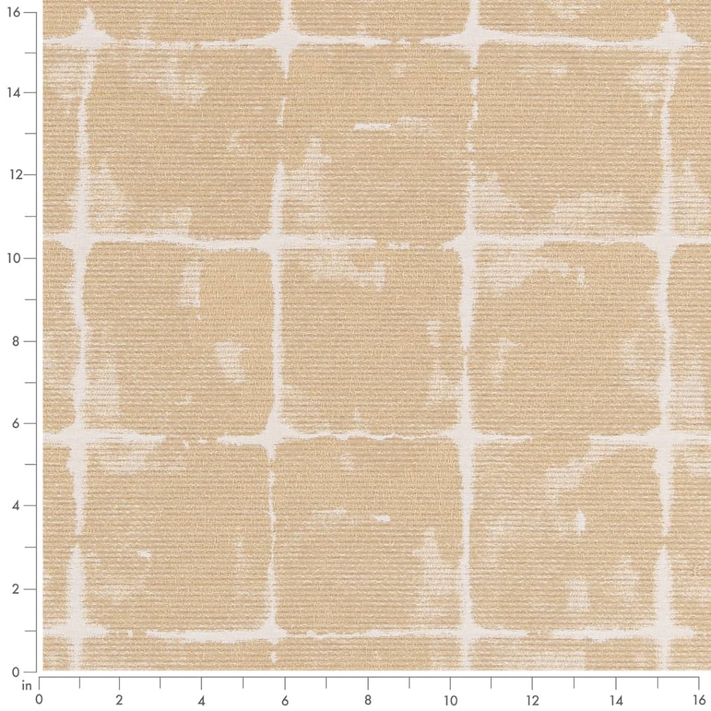 Malibu Sand Dollar Ruler Image