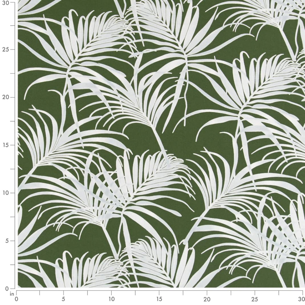 Peterson Fern Ruler Image